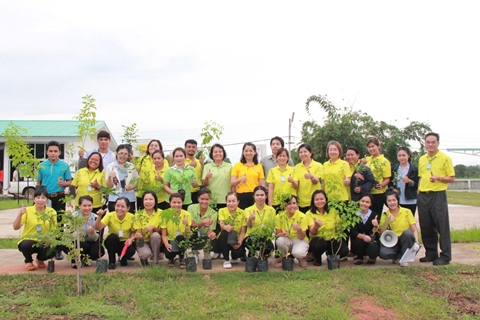 โครงการสร้างพื้นที่สีเขียวให้กับโรงพยาบาล