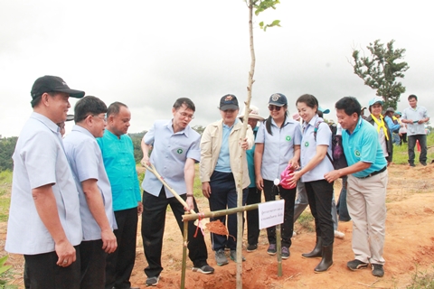 โครงการป่ารักษ์น้ำโล่ใหญ่ชัยภูมิ