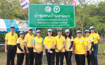 โครงการอนุรักษ์พันธุ์พืชสมุนไพร ป่าชุมชนบ้านหามแห ตำบลบ้านบัว อำเภอเกษตรสมบูรณ์ จังหวัดชัยภูมิ ปีงบประมาณ 2562