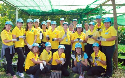 จิตอาสา เพาะต้นกล้าดอกดาวเรือง