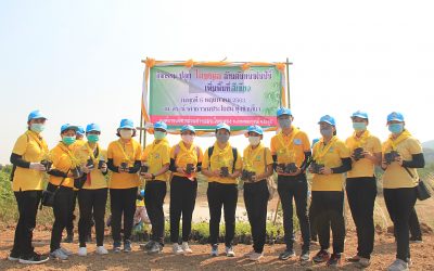 ปลุกไผ่ล้านต้น หน้าฝนปีนี้