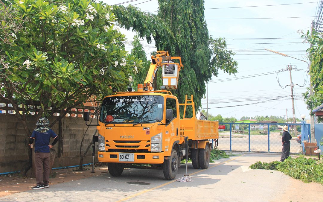 ตัดแต่งกิ่งไม่ เพื่อปรับปรุงภูมิทัศน์ และให้เกิดความปลอดภัย